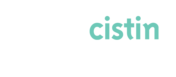 caida2 caida2